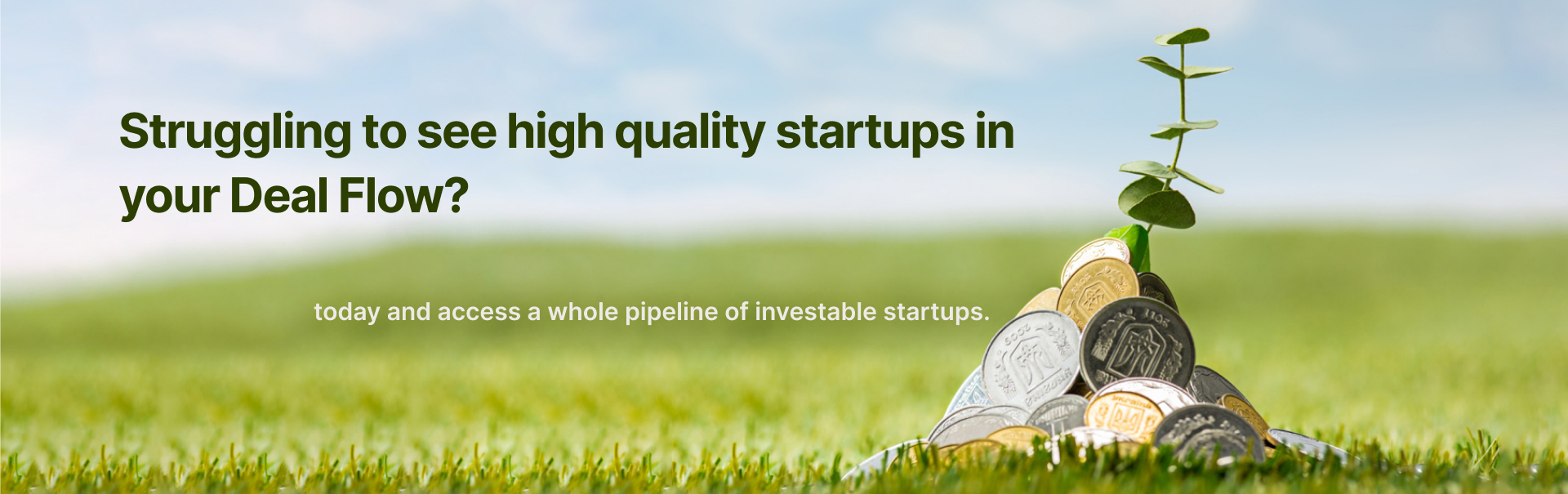 High Quality Startups